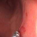 장새로내과의원 이미지