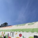 (양산)신선하고 안전한 푸드 마켓 싱싱하고 저렴한 양산시 로컬푸드 직매장 후기