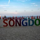송도해수욕장 이미지