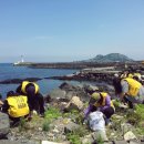 앤씨푸드영어조합법인 | [6.8 세계 해양의 날] 제주 바당에 감춰진 것들