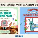이벤트몰 티스토리