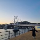 별헤는 다리 이미지