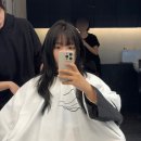 리느 이미지