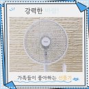 신일 레트로 선풍기 14인치 유용하게 사용후기
