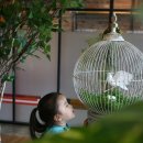 하랑펜션 | 전남장성캠핑장 - 학교가자캠핑장 첫방문..그리고 세번째