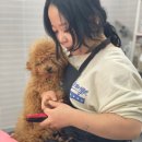 아리하우스 이미지