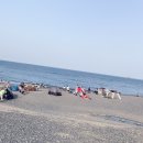 주전몽돌해변 이미지