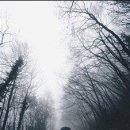 초원미용실 이미지