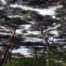 행복한아침 이미지