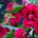 오곡농장 이미지