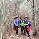 무안황토갯벌랜드B 이미지