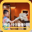 테이블에이 | 파주 아이랑 실내 동물원 파주테이블에이 꿀팁후기