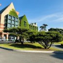 사파이어 골프 | 한림용인CC 날씨 좋은 날 야간 골프 루비, 사파이어 코스 후기