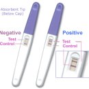 임신 테스트기와 배란 테스트기의 원리 이미지