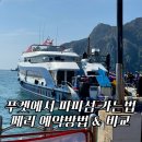 빈웨이브 | 푸켓에서 피피섬 가기! 페리 예약 방법 phiphi cruiser vs 안다만 웨이브 비교 후기