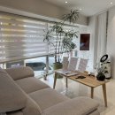 대송약국 이미지