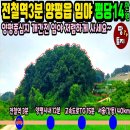 여주-0813 네이버블로그