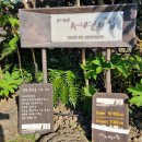 제주 올레길 5코스 이미지