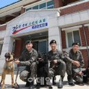 육군 군견훈련소 이미지