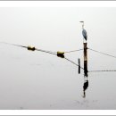 공원로-3 이미지