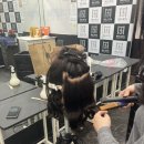[야간]헤어컷트 실무반 네이버블로그