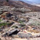 마동동사무소 이미지