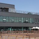 문경참미나리 미돈가 이미지