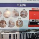 닥터88플러스 닥터존 | 집에서 관절 통증 잡는 '닥터88 플러스' – 실제 써본 솔직 후기