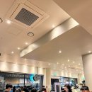 남부터미널 역 5번출구 옆 | [카공 카페 추천] 스타벅스 남부터미널역5번출구점ㅣ해리포터 9와 3/4 승강장 케이크 솔직후기