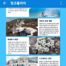 밍크플라이