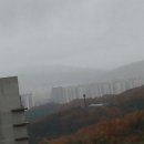 판교농장 Daum카페