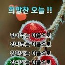 유한양행 부사장님 온글 이미지