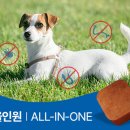 라임동물병원 이미지