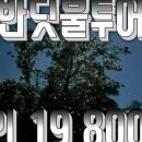 투어투어 이미지