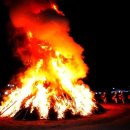 달맞이밤 이미지