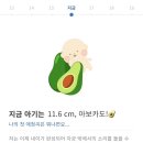 효성요가