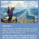 동풍