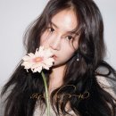 소유필름 이미지