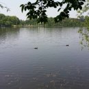 김인수공인중개사사무소 이미지