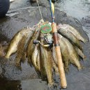 (주)부국산업개발 이미지