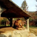 오-월드 이미지