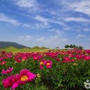 (주)힐링코리아 이미지