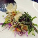 샤브 동 이미지