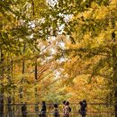 순환로 405번길 이미지