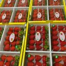 지산축산 이미지