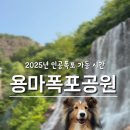 용마 | 서울 용마폭포공원 애견동반 후기 &amp; 인공폭포 가동 시간시간 정리