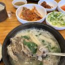 담소골