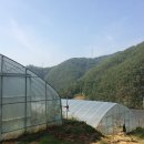 동수농장 이미지