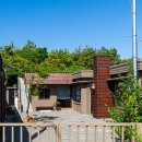 아노록사계 이미지