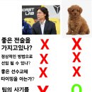 홍명보 VS 뽀삐 이미지